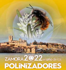 Zamora 2022: el año de los polinizadores